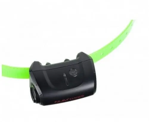 Collier Seul Canicom 5 Avec Sangle Vert Fluo – Image 2