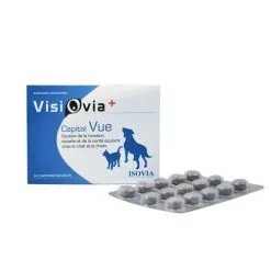 ISOVIA Visiovia + Capital Vue