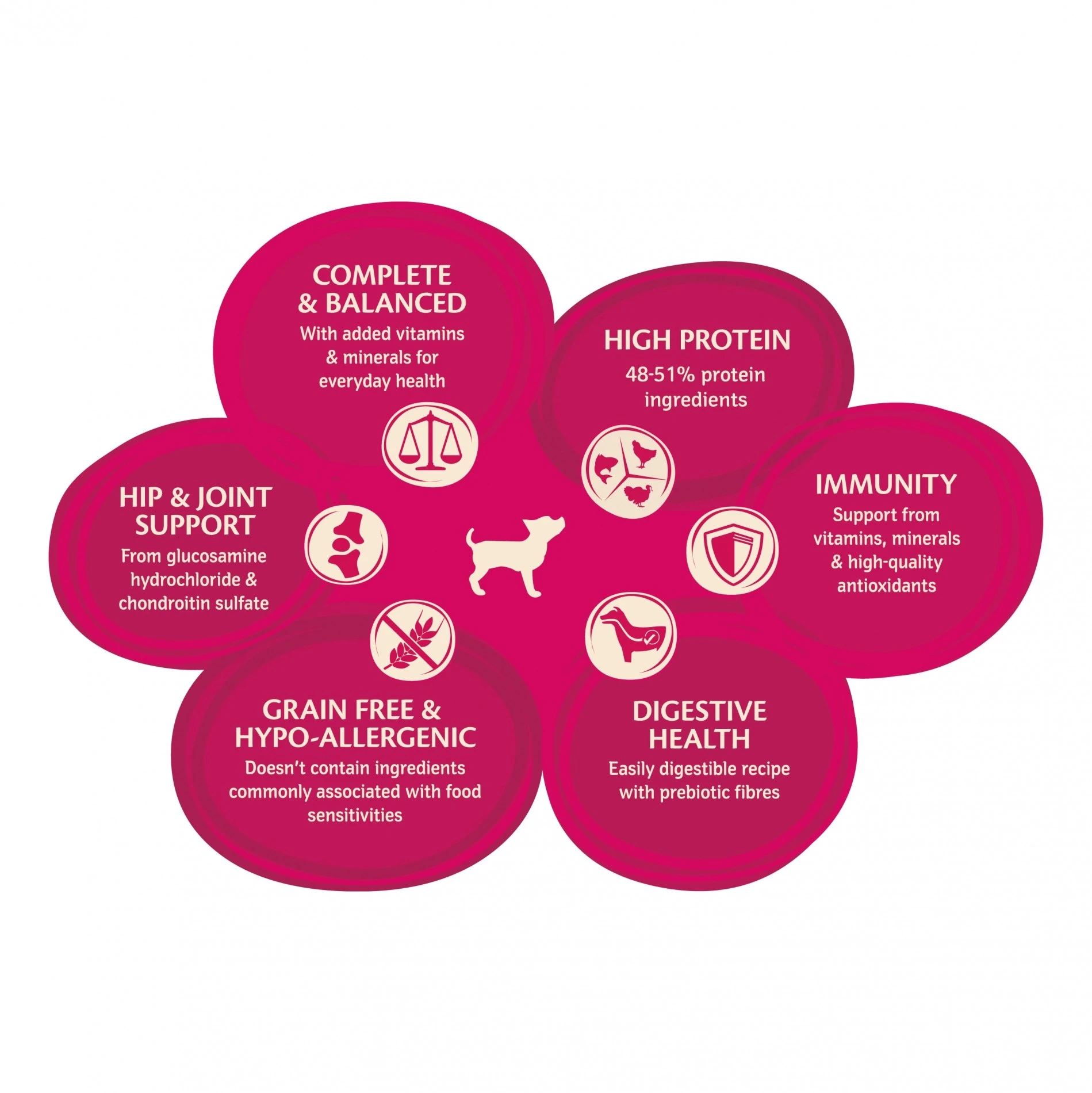 Wellness CORE Original Small Breed - Dinde Et Poulet – Image 5