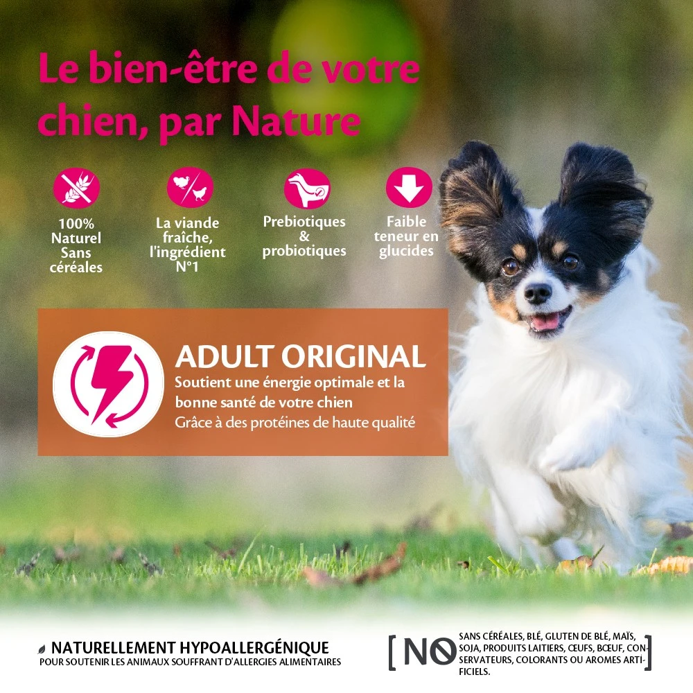 Wellness CORE Original Small Breed - Dinde Et Poulet – Image 10