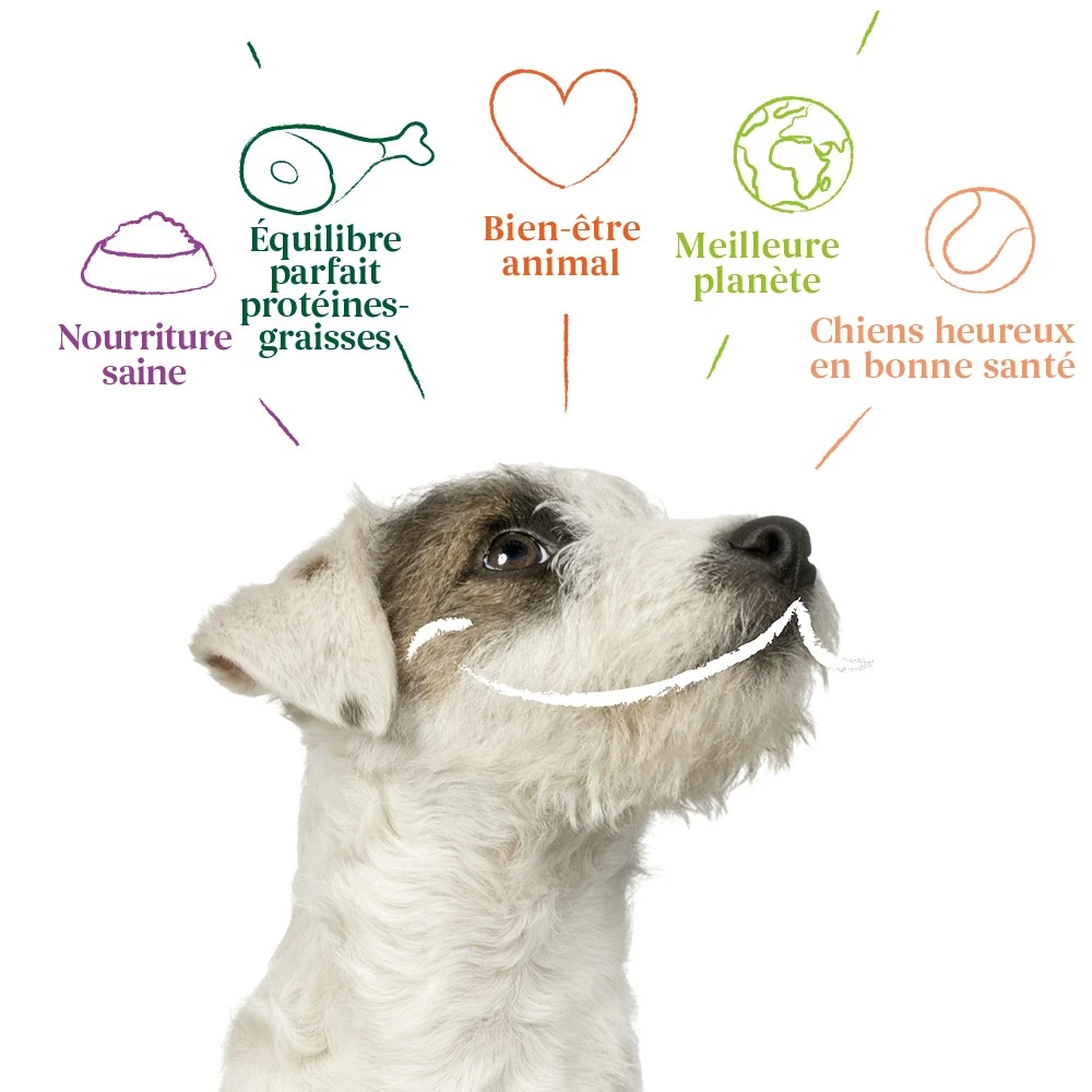 Yarrah Pâtées Bio - 12 X 150 G – Image 4