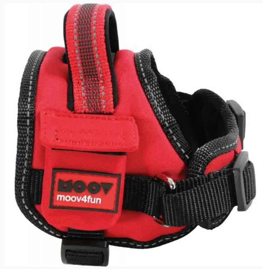 Zolux Harnais Confort Réglable MOOV Rouge S