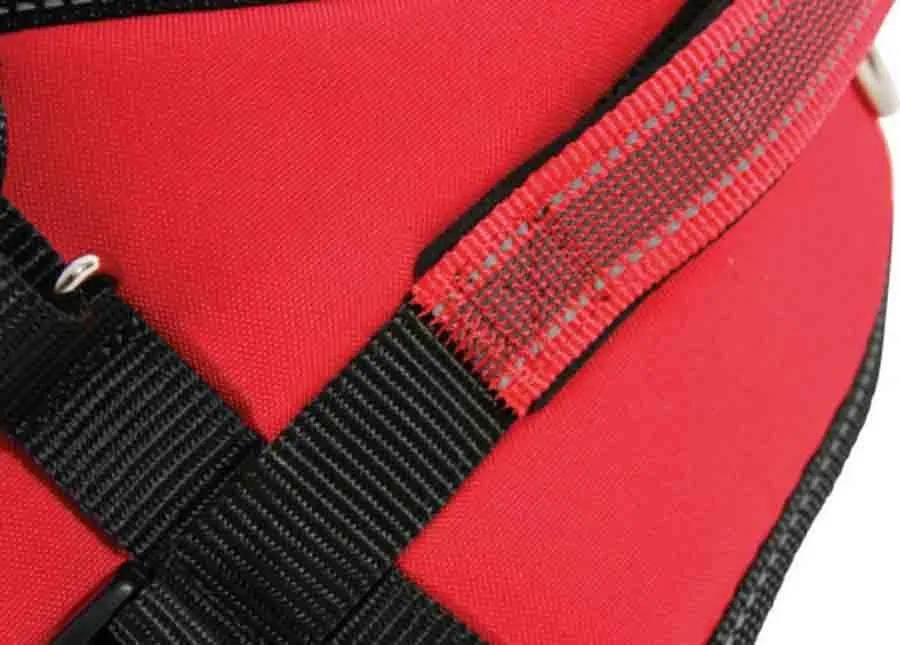 Zolux Harnais Confort Réglable MOOV Rouge S – Image 2