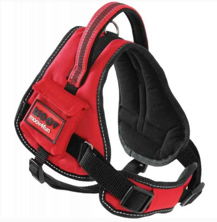 Zolux Harnais Confort Réglable MOOV Rouge S – Image 5