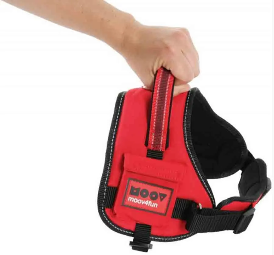 Zolux Harnais Confort Réglable MOOV Rouge S – Image 6