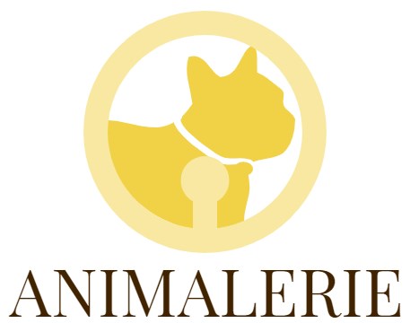 Nourriture pour chien Soldes Magasin